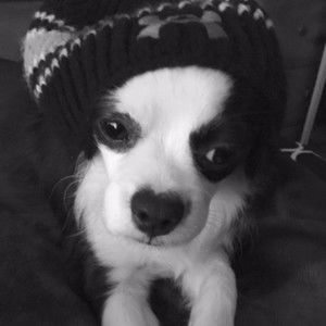 Meet your Posher, Steven